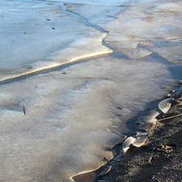 As cold as ice As cold as ice