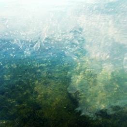 Water Colours Water Colours