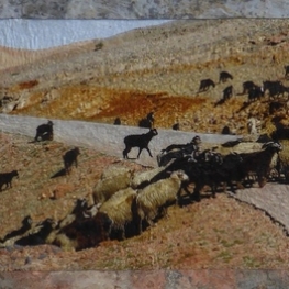 Herder onderweg Herder onderweg
