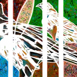 Kraai-2023 Kraai-2023