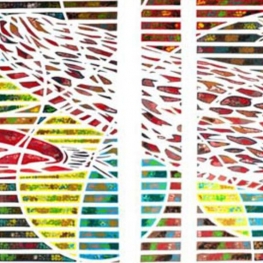 Rode Wegslak 2025 Rode Wegslak 2025