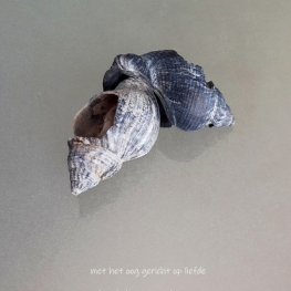 Met het oog op liefde Met het oog op liefde