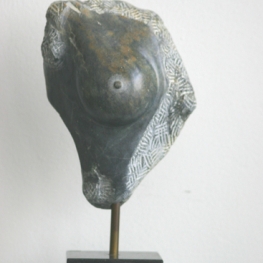 Borst beeld Borst beeld