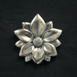 Flora Flora