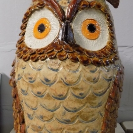 Grote uil Grote uil
