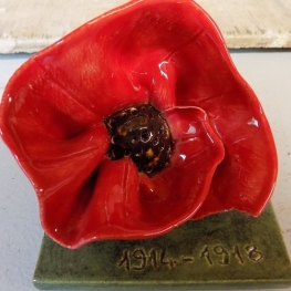 Poppy op groen Poppy op groen
