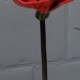 Poppy op steeltje Poppy op steeltje