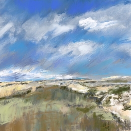 Wimmenummerduinen Wimmenummerduinen