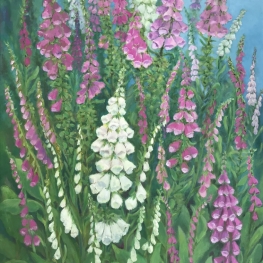 Vingerhoedskruid in mijn tuin Vingerhoedskruid in mijn tuin