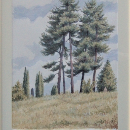 De 5 pijnbomen De 5 pijnbomen