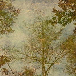 Autumn Dreams 7 Autumn Dreams 7