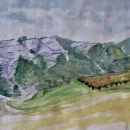 Blauw gesteente bij Buis les Baronnies Blauw gesteente bij Buis les Baronnies
