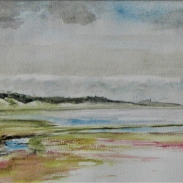 Kroonpolders met zeekraal en lamsoor, zijkant duinen Kroonpolders met zeekraal en lamsoor, zijkant duinen