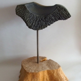 pelvic pelvic