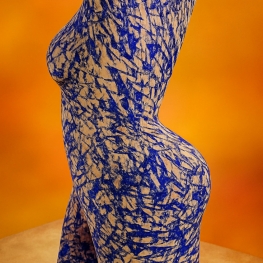 Torso Torso