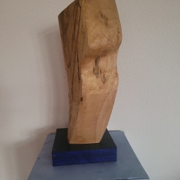 Torso 2024 Torso 2024