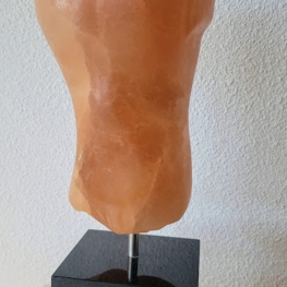 torso man torso man