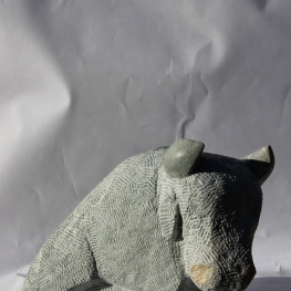 Buffel Buffel