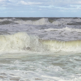 oostduinse storm oostduinse storm