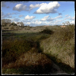 "POLDER" "POLDER"