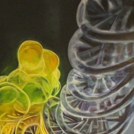 DNA 13 c DNA 13 c