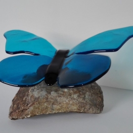 Vlinder in blauwtinten op steen Vlinder in blauwtinten op steen