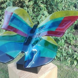 Vlinder in regenboogkleuren Vlinder in regenboogkleuren
