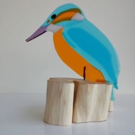 IJsvogel 1 IJsvogel 1