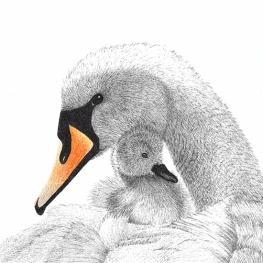 Moederliefde Moederliefde
