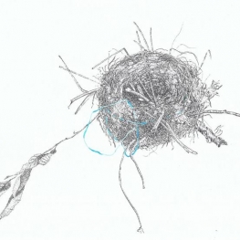 Nest puttertje Nest puttertje
