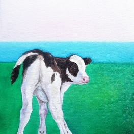 calf calf