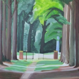 Pad naar het bos Pad naar het bos