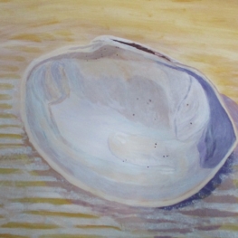 Schelpen - Grote Schelp Schelpen - Grote Schelp