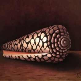 Naar Rembrandt's schelp Naar Rembrandt's schelp