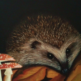 Egel Egel