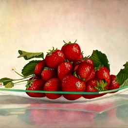 Zomerkoninkjes Zomerkoninkjes