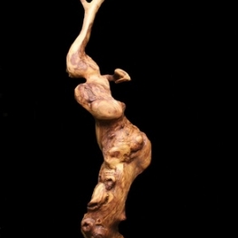 Lets dance Lets dance