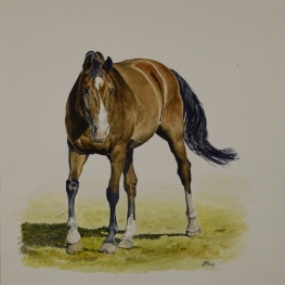 Draaiend paard Draaiend paard