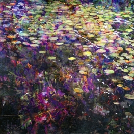 Symbiosis 140-01 Symbiosis 140-01