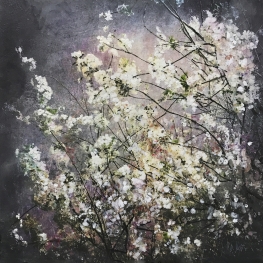 Symbiosis 70-03 Symbiosis 70-03
