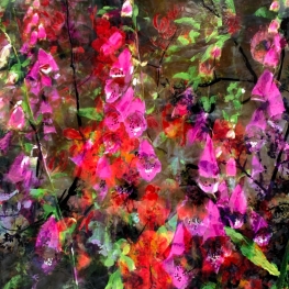 Symbiosis 90-11 Symbiosis 90-11