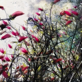 Symbiosis 140-14 Symbiosis 140-14
