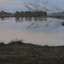 De Deelen na zonsondergang De Deelen na zonsondergang