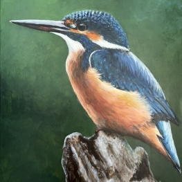 IJsvogel IJsvogel