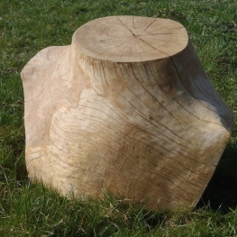 torso (eik) torso (eik)