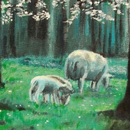 Lente op landgoed Oostbroek, De Bilt Lente op landgoed Oostbroek, De Bilt