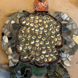 Schildpad Schildpad
