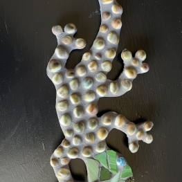 Gekko 7 Gekko 7