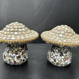 Paddenstoelen Paddenstoelen