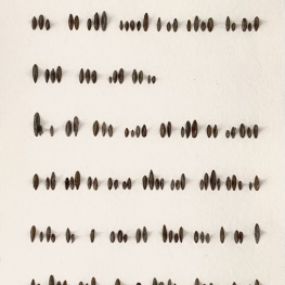 _letter from nature _letter from nature